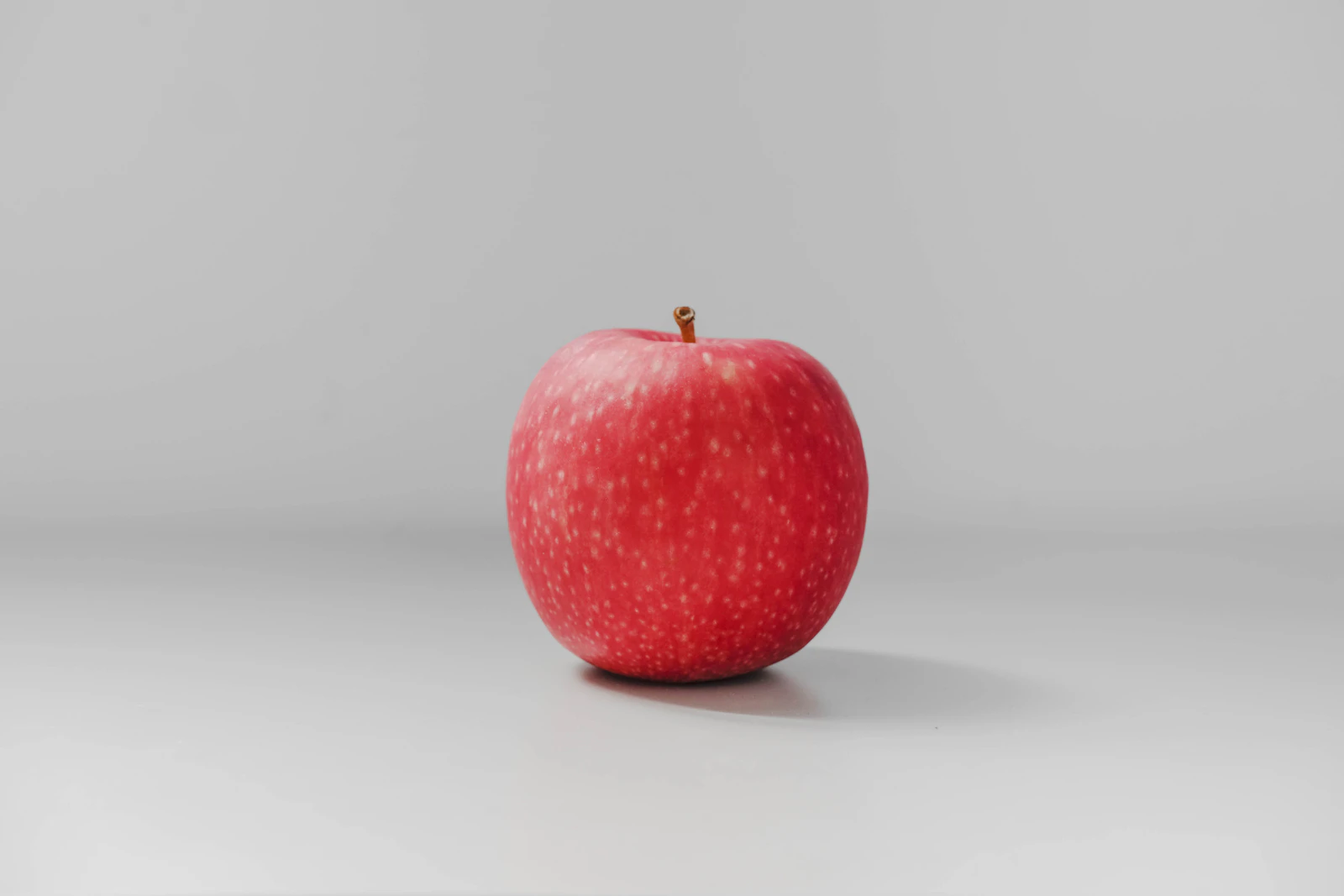 Content Writing Netherlands | Dutch and English SEO Copywriting for Amsterdam Brands